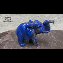 Vídeo cargado y mostrado en la Galería, Elefante en 'Lapis Lazuli' de Afganistán
