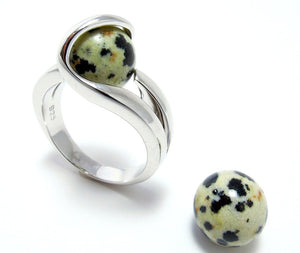 Dalmatien jaspe/Jaspe Dalmatien/Jaspe Dalmatina